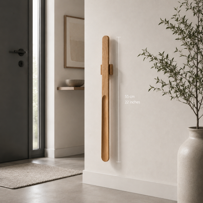 Magnetic Shoehorn